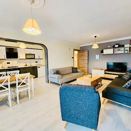 Spacious By Calis 아파트 페티예